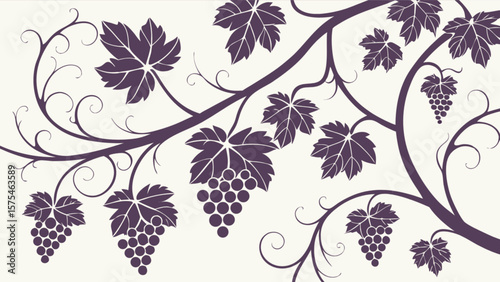 Grapevine vector illustration with leaves and grapes for wine and vineyard themes design and decoration use