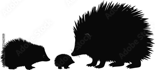 Echidna Family Silhouette Wildlife Animal Illustration