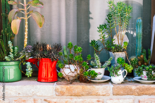 Succulents in decorative pots on the windowsill of an old Italian town