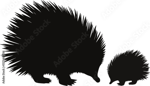 Echidna Family Silhouette Wildlife Animal Illustration