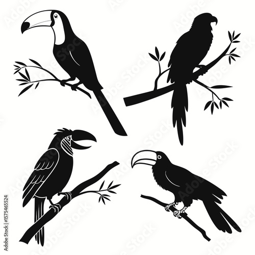 Four tropical bird silhouettes on branches toucan parrot