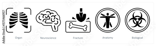 A set of 5 mix icons as organ, neuroscience, fracture