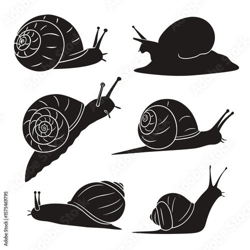 Six black snail silhouettes in various poses slugs