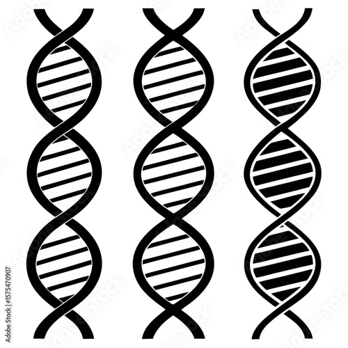 Triple black D N A helix strands double helix genetics