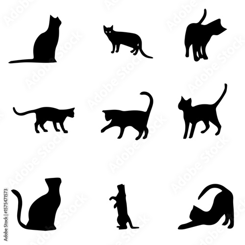 Black cat vector-11