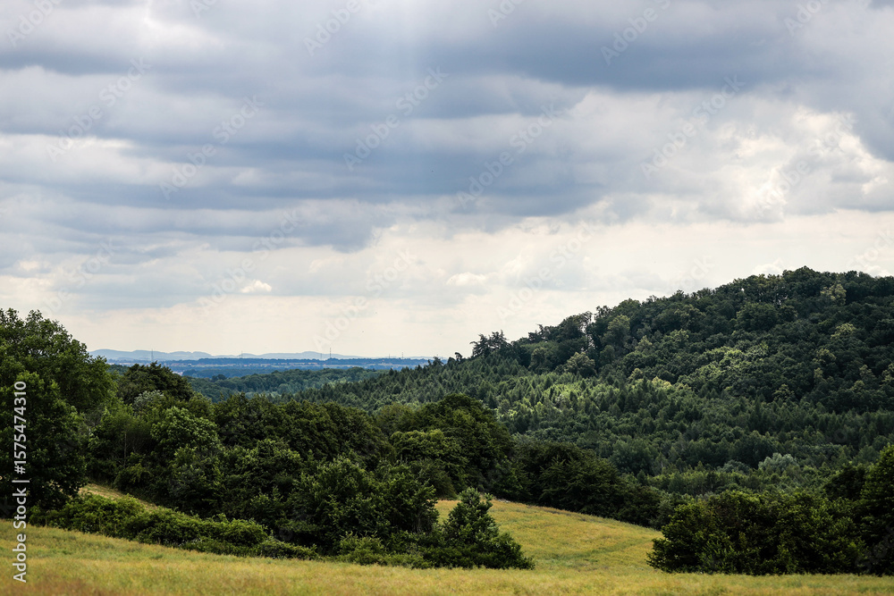 Obraz premium Endless Vistas Fields and Mountains Under a Blue Sky