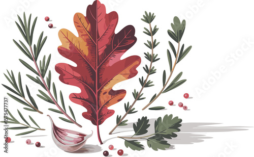 Colorful Oak Leaf with Rosemary, Thyme, Parsley, Garlic and Red Pepper Berries Illustration