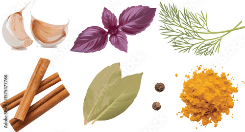 Culinary Herbs and Spices Still Life Garlic, Basil, Dill, Cinnamon, Bay Leaves, Pepper, Turmeric