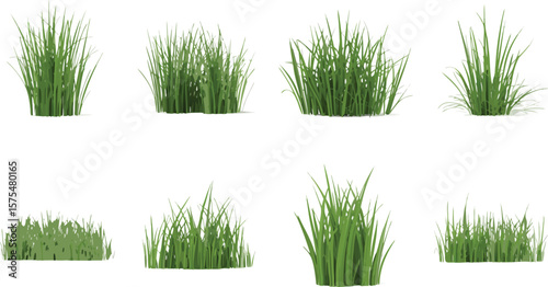 Eight Rendered Clumps of Green Grass Isolated on a White Background for Design Elements