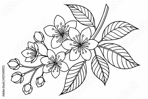 Intricate line art mandala inspired by natural leaf patterns