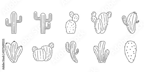 Cactus Outline