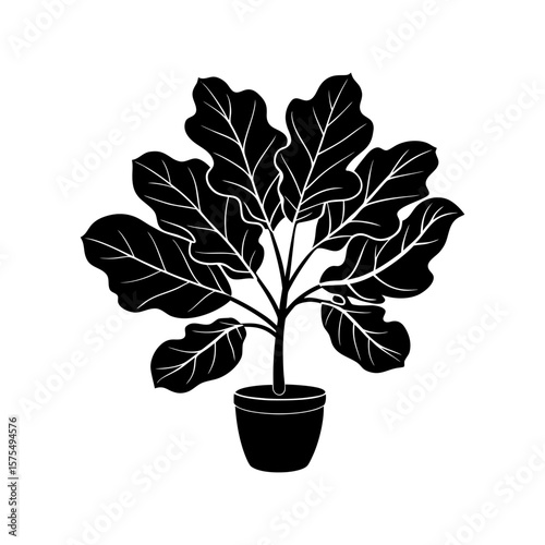 Fiddle Leaf Fig Clipart Vector Illustration