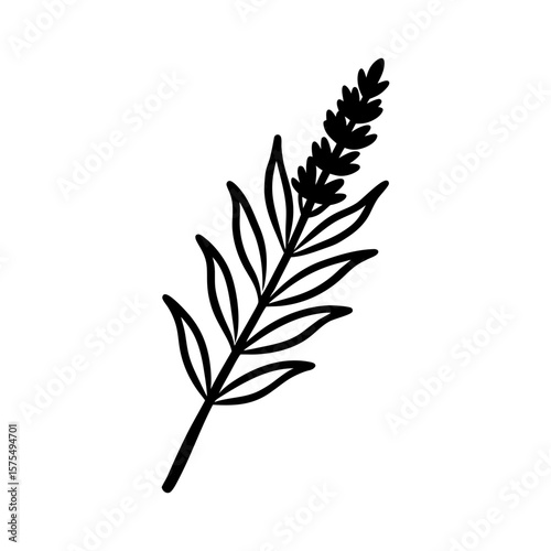 Lavender Sprig Clipart Vector Illustration