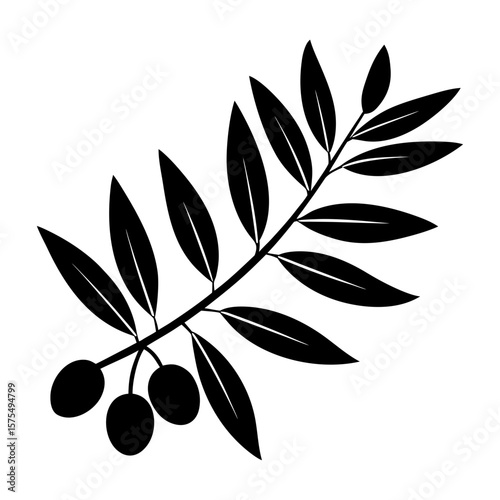 Olive Branch Clipart Vector Illustration