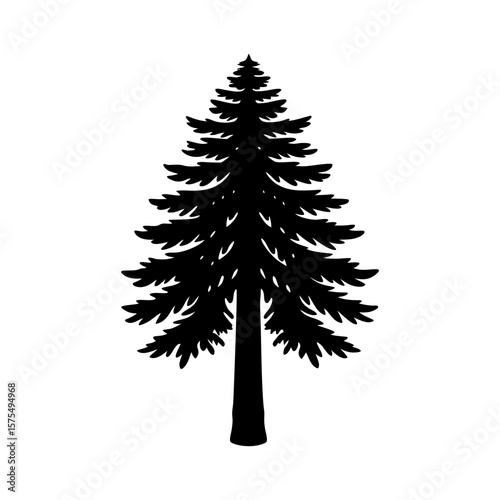 Redwood Tree Clipart Vector Illustration