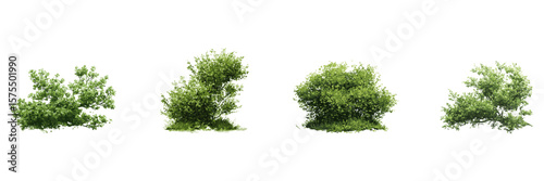 Green Bushes Watercolor Side View Illustration Set. Landscape Design And Garden Architecture Element Collection. Isolated Vector Illustration