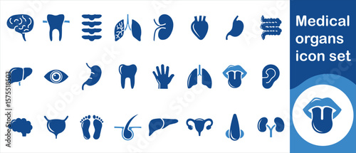 Medical organs icon set, transverse, intestine, coronavirus, ascending, bowel, chat, healthy, healthcare, kidney, flat, vector, graphic, element, large, liver, bone, lung, system and more