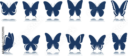 Collection of various butterfly silhouettes in dark blue with reflections on white