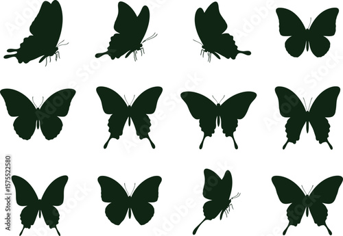 Twelve butterfly silhouettes arranged in a pattern on a white background display image