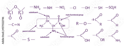 Chemical formulas. School science not AI Vector illustration.