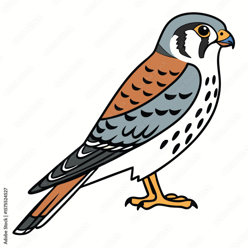 Fototapeta premium Stylized Kestrel Bird Illustration on White Background