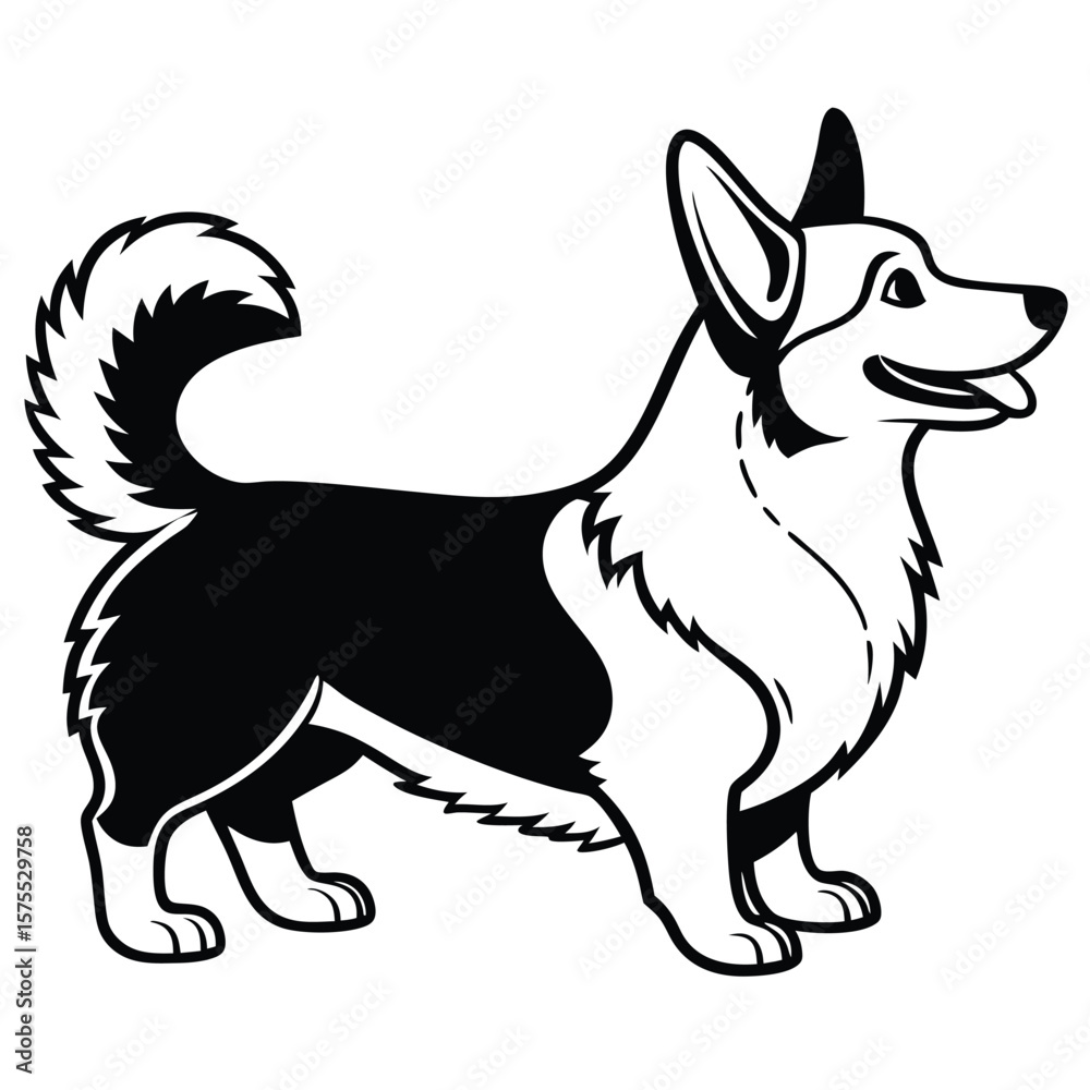 Fototapeta premium Black and White Corgi Dog Illustration canine animal