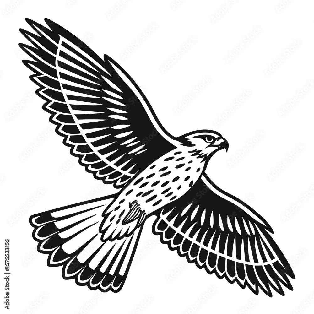 Obraz premium Black and White Hawk Illustration in Flight bird animal