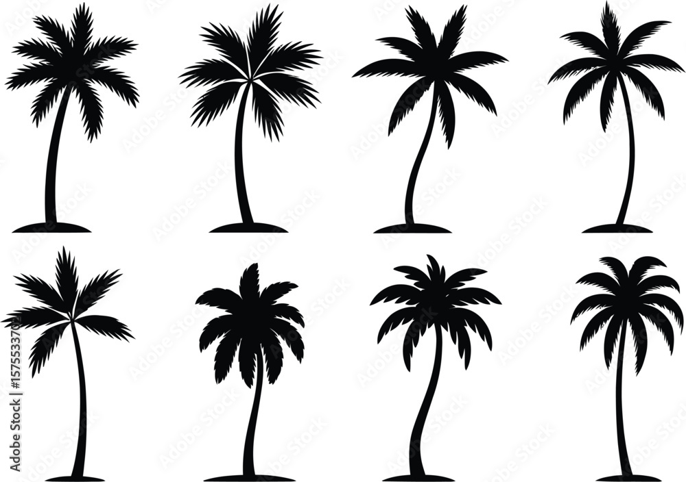 Fototapeta premium Tropical palm trees silhouette collection black white