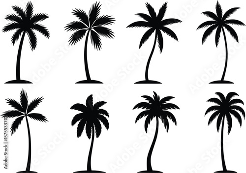Tropical palm trees silhouette collection black white