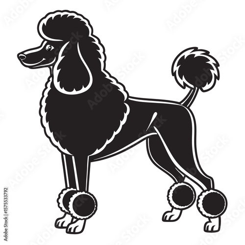 Black and White Poodle Dog Illustration Standing Profile