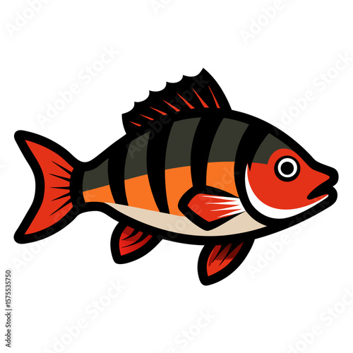 vector illustration of a fish
