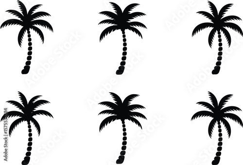 Black palm trees silhouette tropical vacation