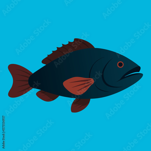 vector illustration of a fish
