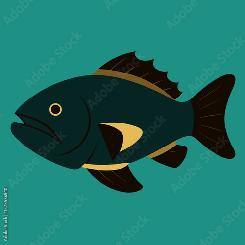 vector illustration of a fish