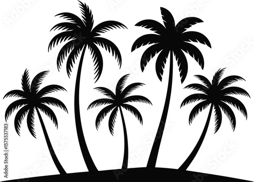 Black palm trees on white background tropical silhouette