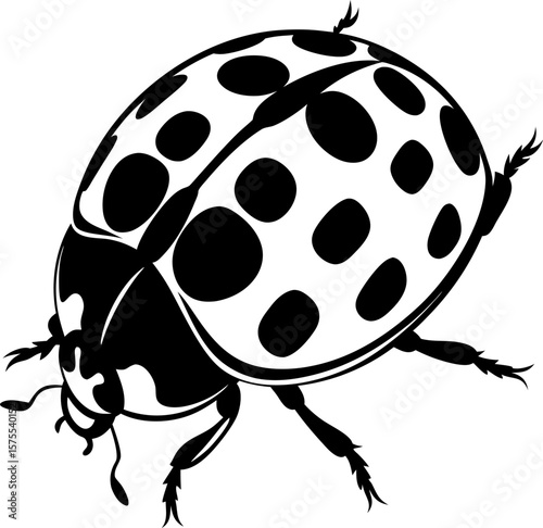 Ladybug silhouette illustration with detailed spotted pattern, black and white insect,  drawing isolated on white