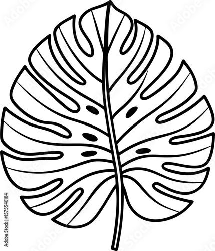 Monstera leaf outline simple tropical foliage linear drawing, botanical illustration for nature, eco, and organic themed designs