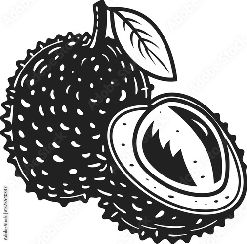 Spiky chestnut illustration with opened shell and nut botanical black and white drawing, nature food, autumn harvest concept
