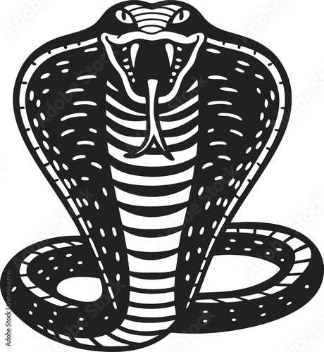 Aggressive cobra snake with hood spread, detailed monochrome illustration venomous reptile, dangerous wildlife animal symbol