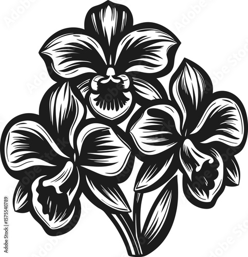 Elegant black and white orchid flower illustration detailed tropical botanical bloom, exotic nature art for floral design