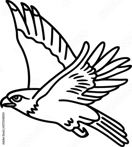 Eagle in flight outline majestic raptor bird soaring with outstretched wings wildlife symbol, freedom, nature illustration