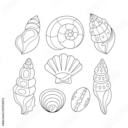 seashell silhouette