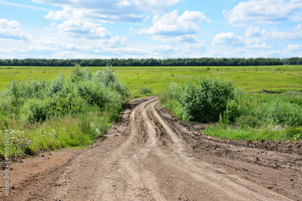 Obraz premium Dirt road through a green field going down the hill with a blue sky and fluffy clouds