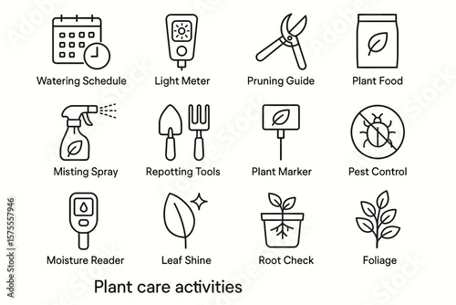 Essential tools for effective plant care and maintenance
