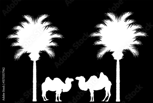 Camel couple in love under palm trees vector silhouette illustration isolated. Standing female camel against male. Camel family shape shadow. Desert animal. Desert oasis in Africa. Luxury mirage.