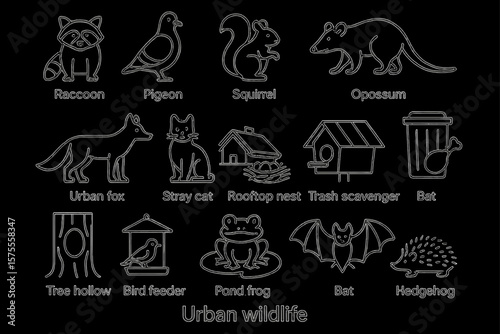 Illustrated urban wildlife: raccoon, pigeon, squirrel, fox, opossum, bat, more