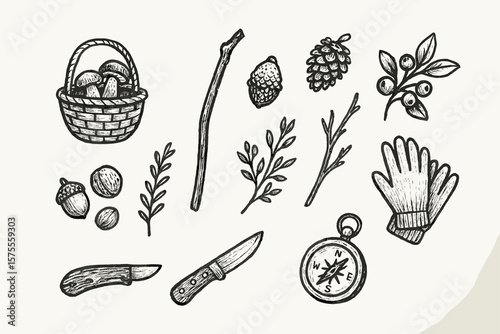 Vintage botanical and outdoor tools illustration with basket, compass, and acorns