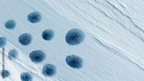 Rippling blue droplets dance on snow's canvas, echoing nature's inkblot for Dia de la Candelaria and World Water Day