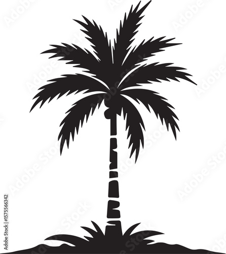 Silhouette of a Palm Tree on a White Background