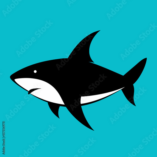 fish isolated on white
